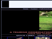 Tablet Screenshot of festelledownload.com